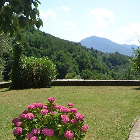 Villa La Limonaia Di Casagrande Barga Exterior foto
