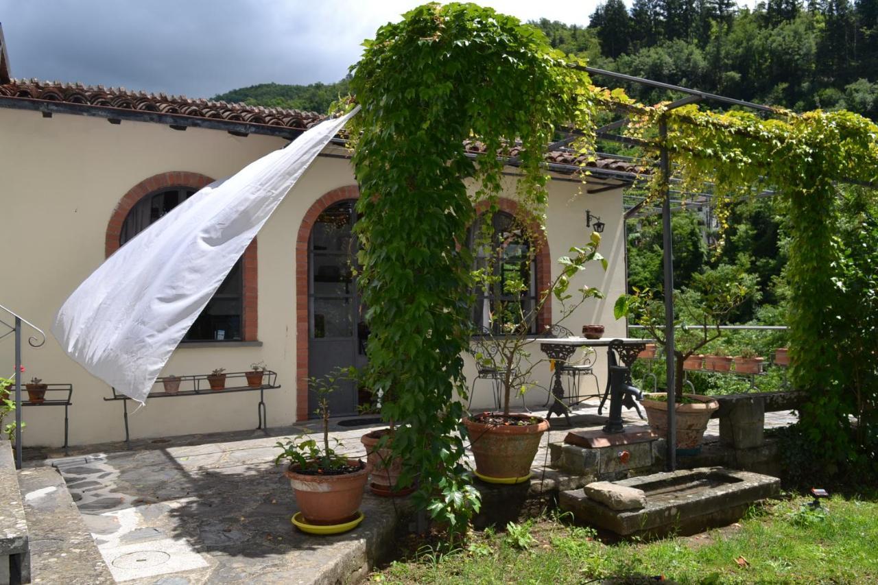 Villa La Limonaia Di Casagrande Barga Exterior foto