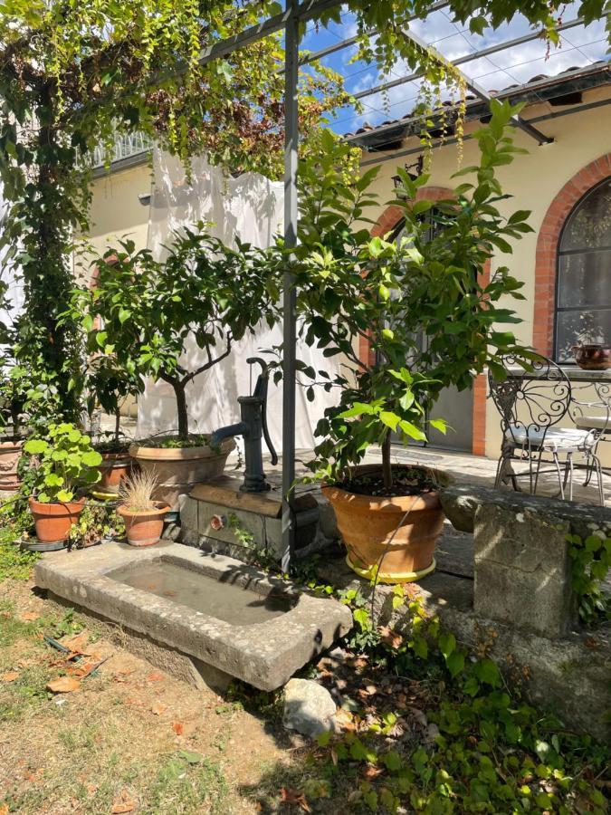 Villa La Limonaia Di Casagrande Barga Exterior foto