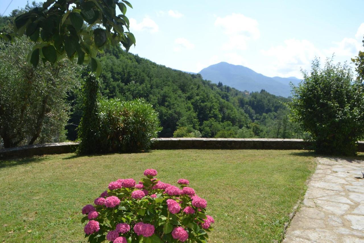 Villa La Limonaia Di Casagrande Barga Exterior foto